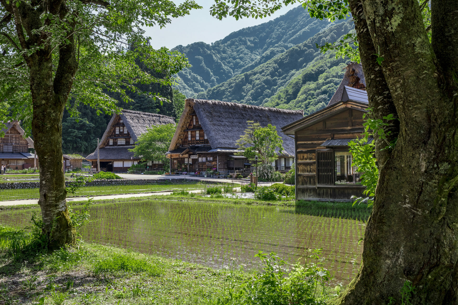 02 airbnb gassho village credit satoshi nagare