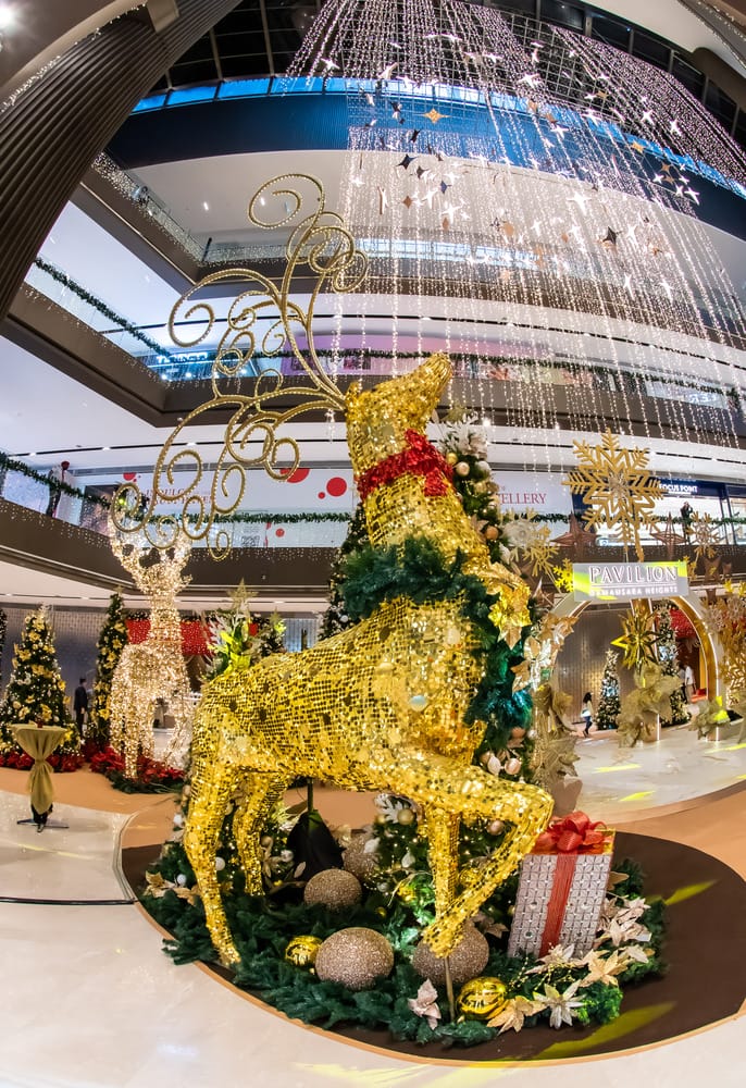 shoppers may take photos with the captivating reindeers