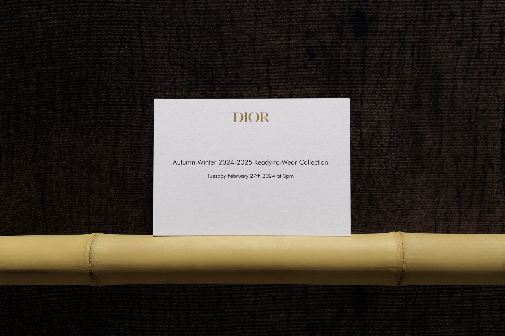 invitation dior rtw aw24 eng (003)