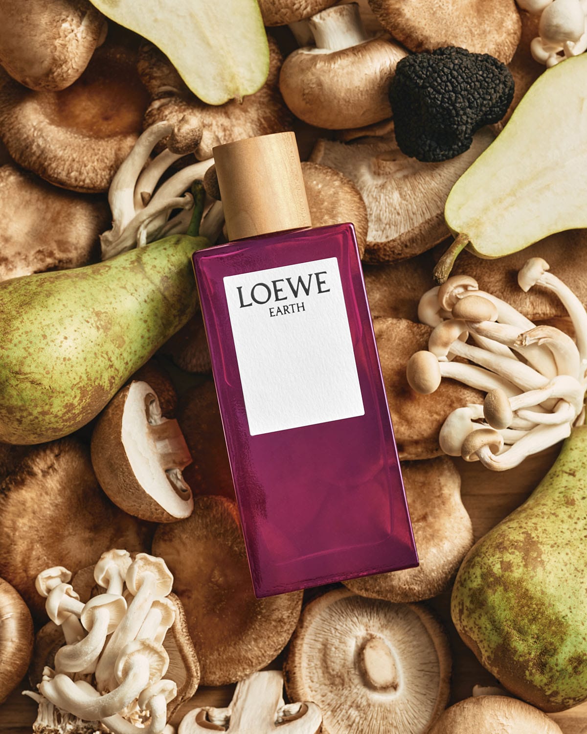 1663686038 loewe earth perfume 4