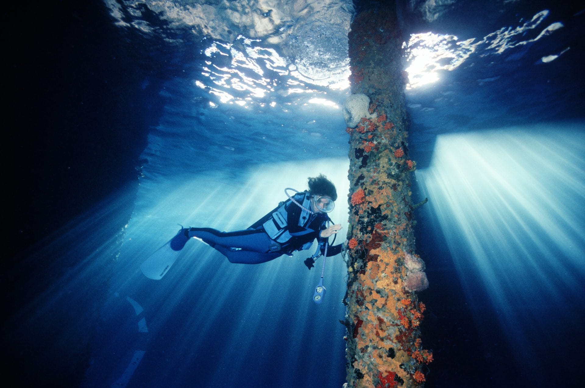 2 00939 dr sylvia earle by david doubilet (1)