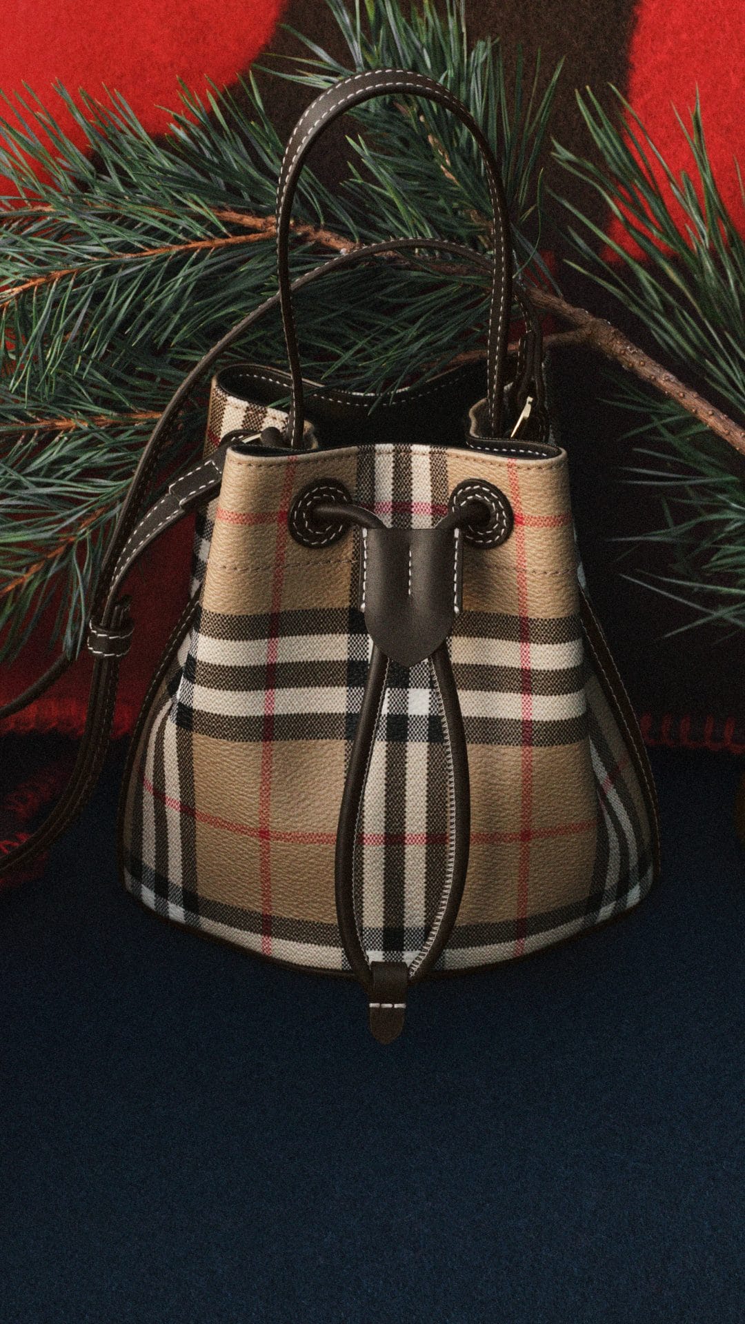 burberry festive(2)