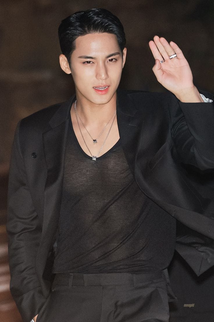 mingyu bulgari1