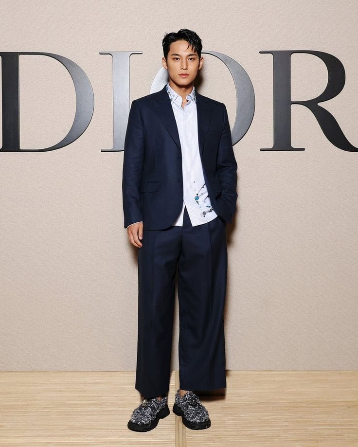 mingyu dior