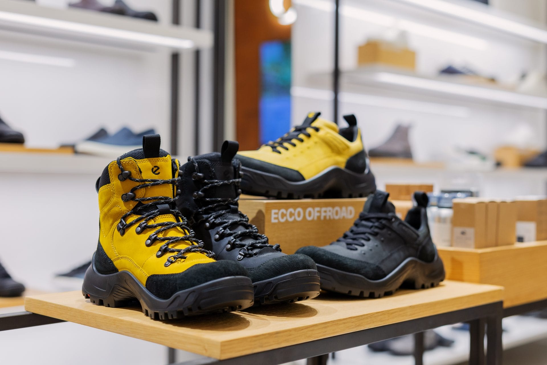 ecco sunway pyramid offroad shoes