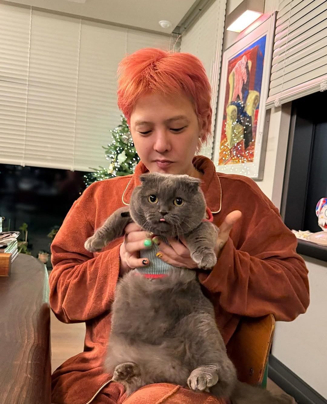 gd cat
