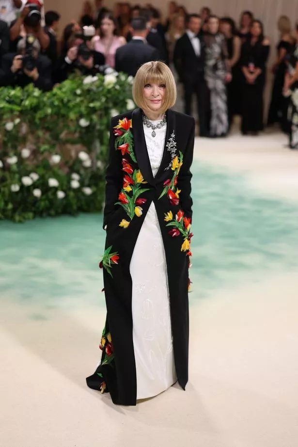 0 2024 met gala red carpet in new york usa 06 may 2024.jpg
