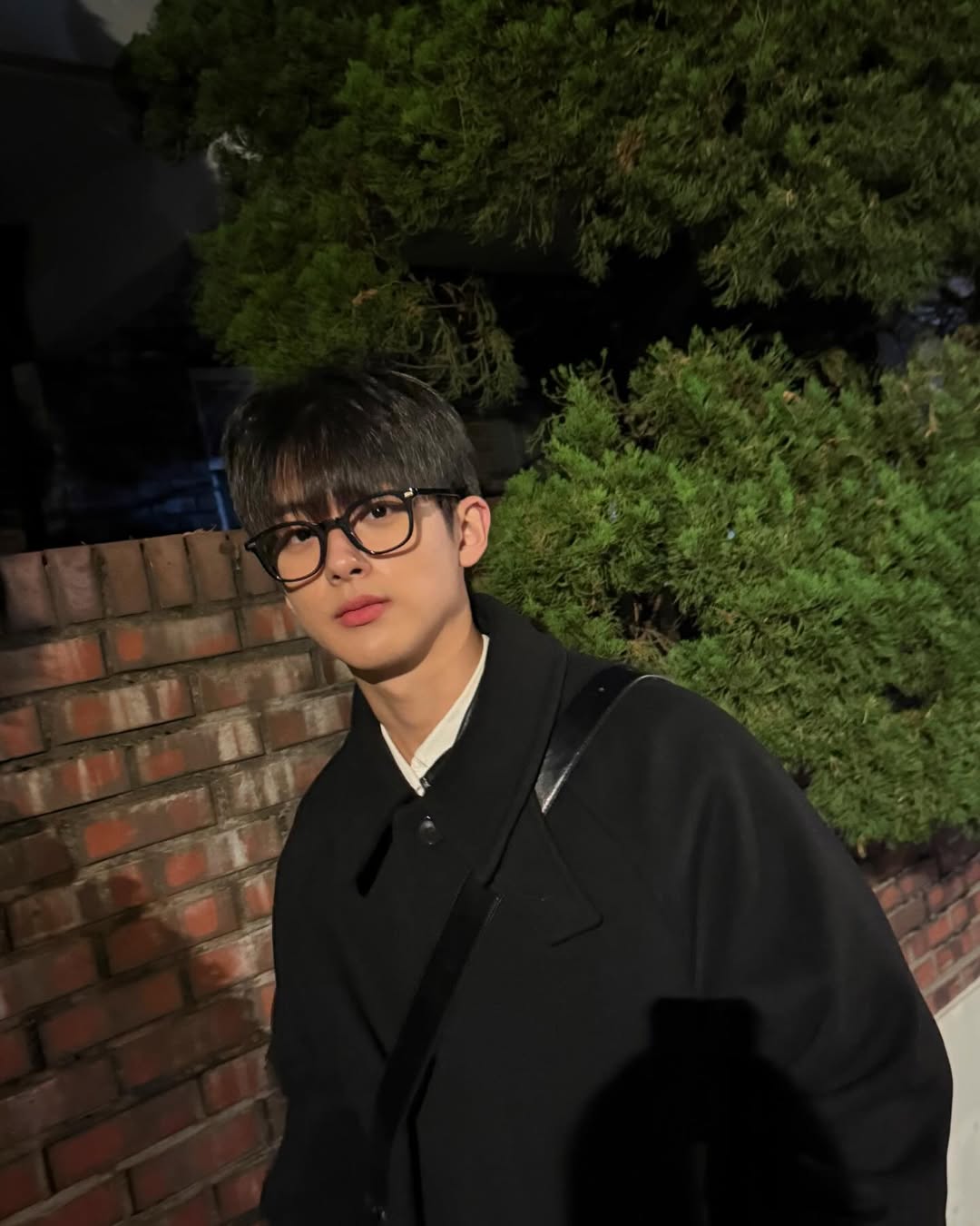 snapinsta.to 466165670 3384684051664152 1426098287374473006 n