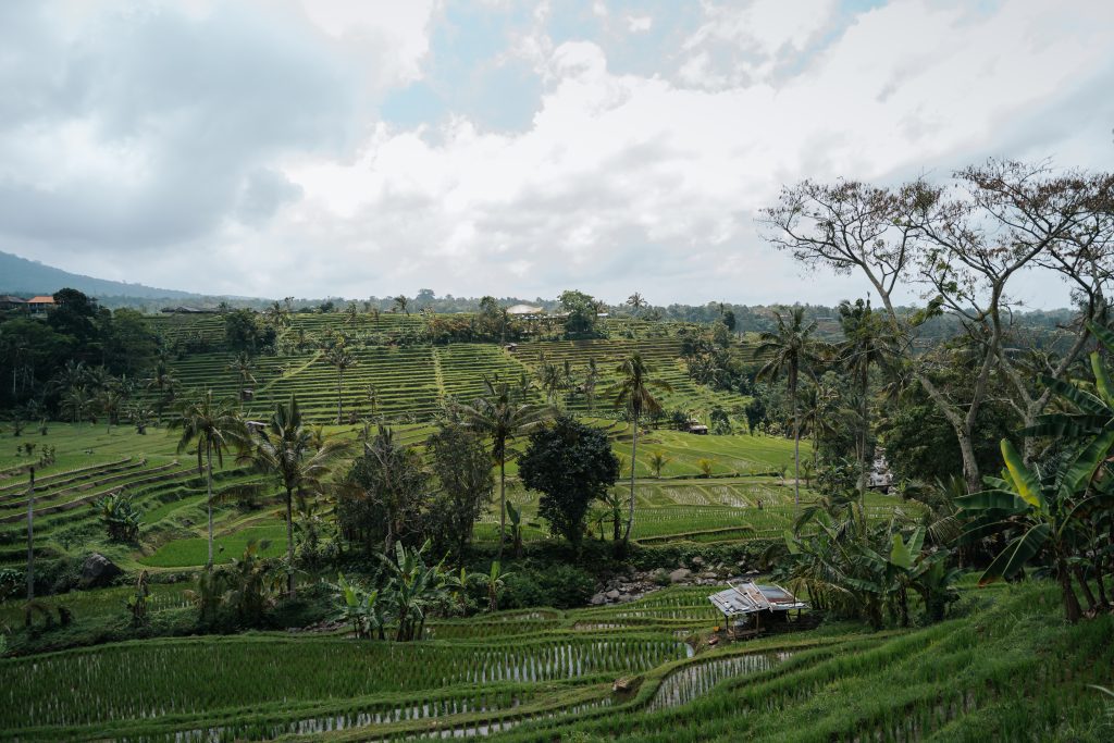 110925 unesco x airbnb by sans visual bali 55