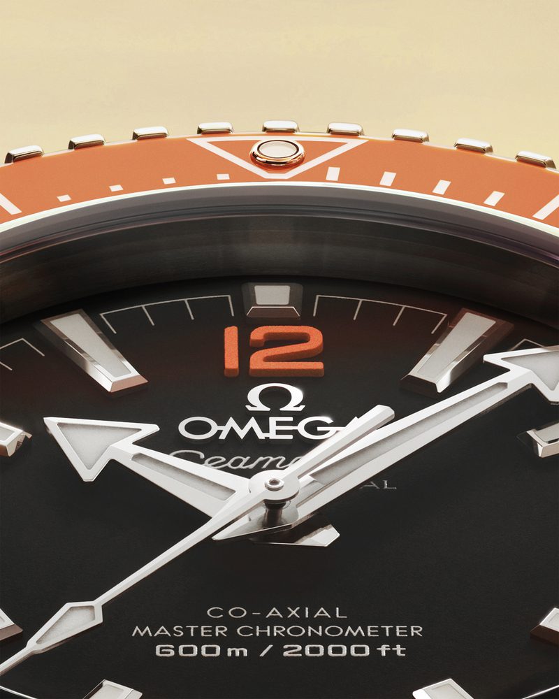 217.30.42.21.01.003 se po closeup masterchrono 4 5 rvb