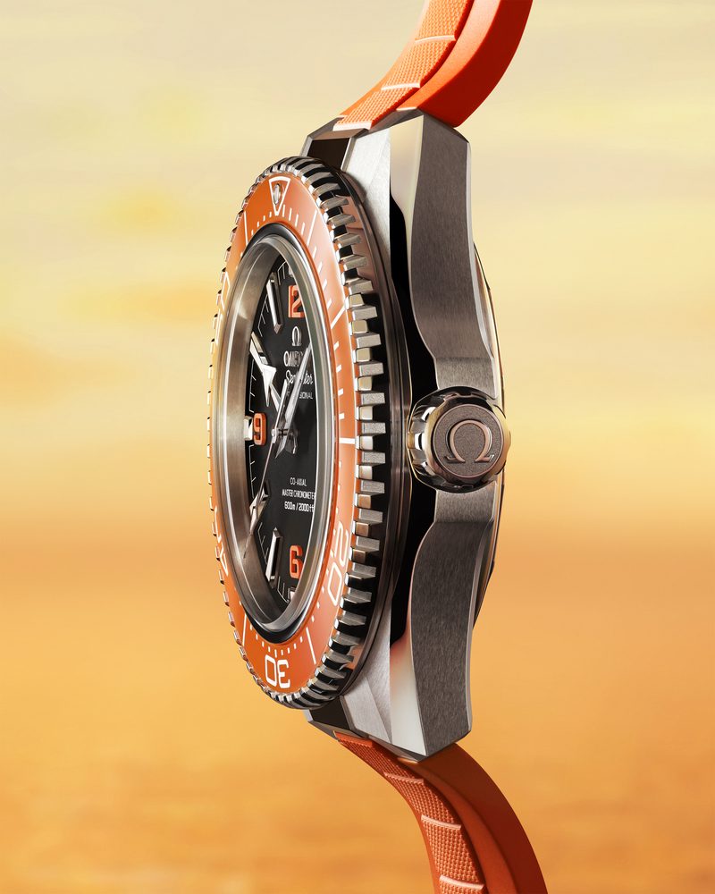 217.32.42.21.01.004 se po closeup profil 4 5 rvb