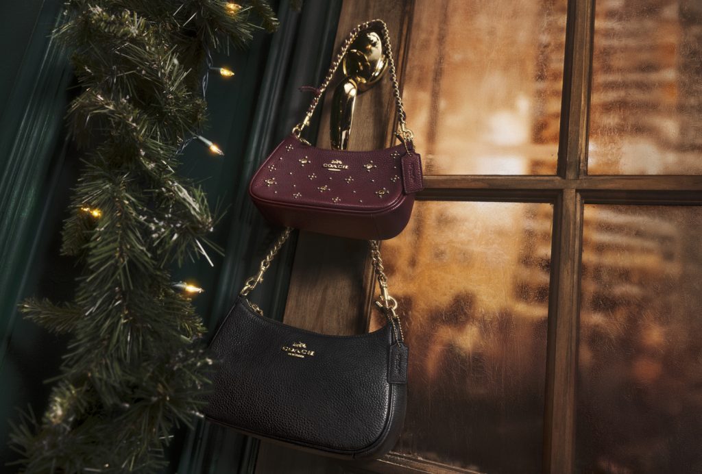 coach the gift for new adventures teri