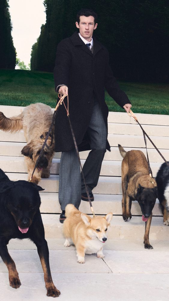 men's ss26 precollection dog accessories 2