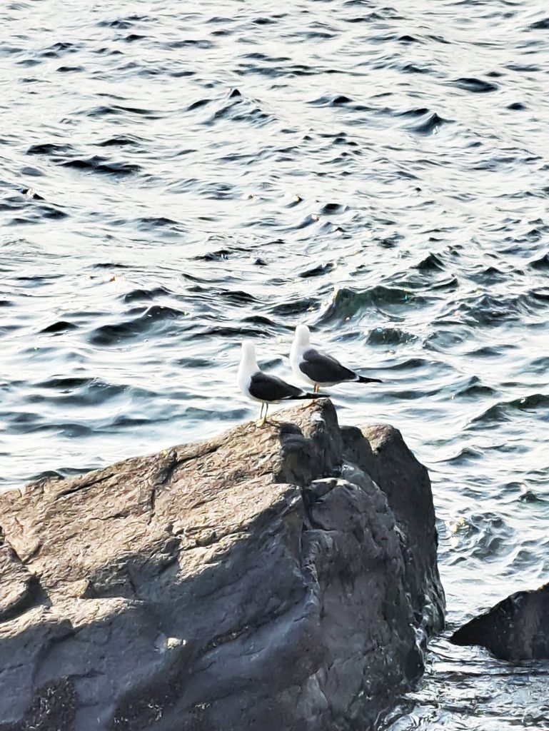 白浅滩文化村 02 yp