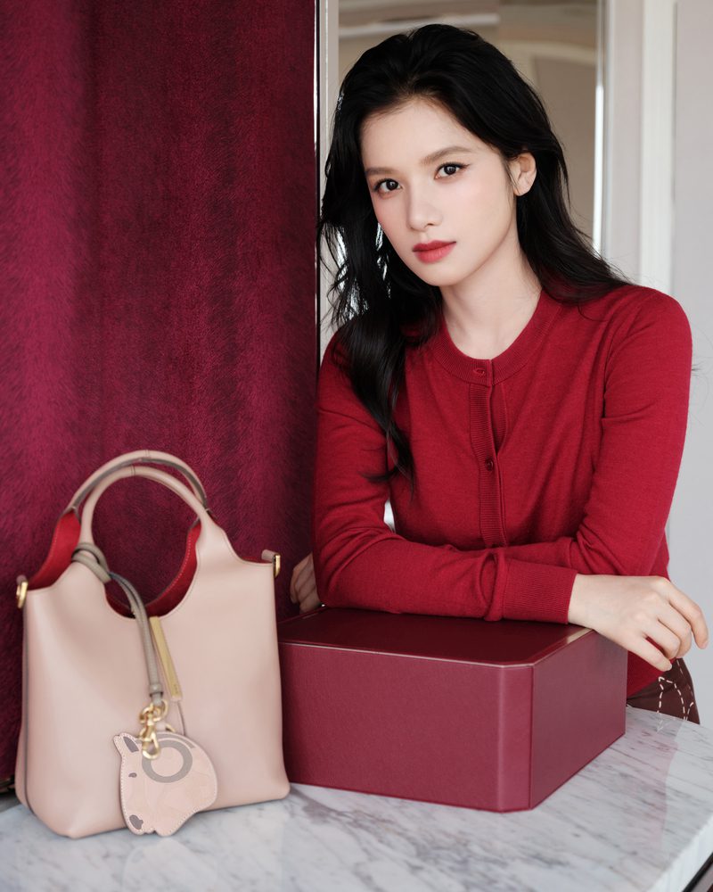 house ambassador zhang jingyi in tod s cny capsule collection (3)