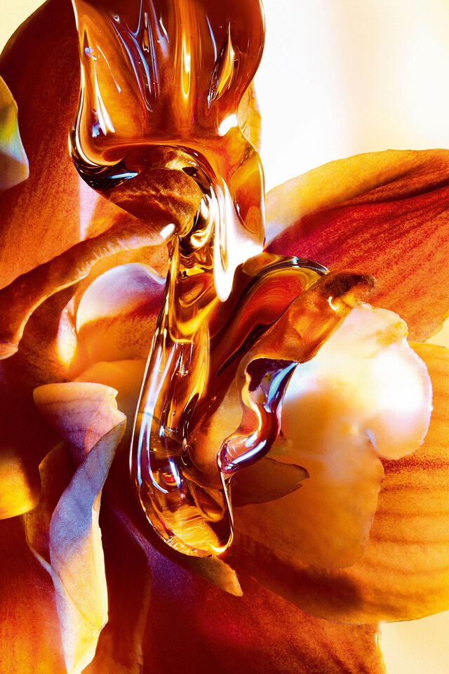 jdr intense fleur nectar 2000x3000