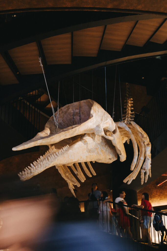 sid90023