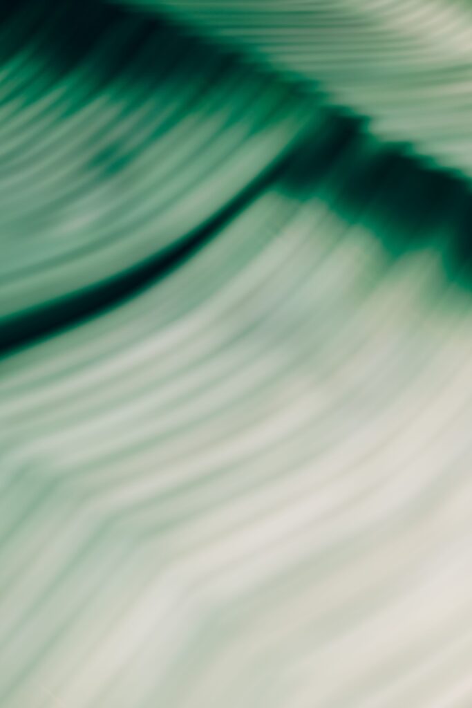 motion (israel hadany, 2012) 2