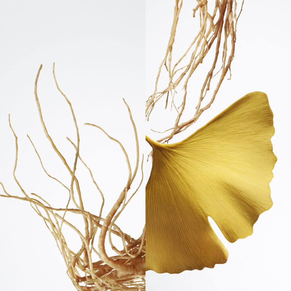 hermessence ginseng biloba moodshot 2